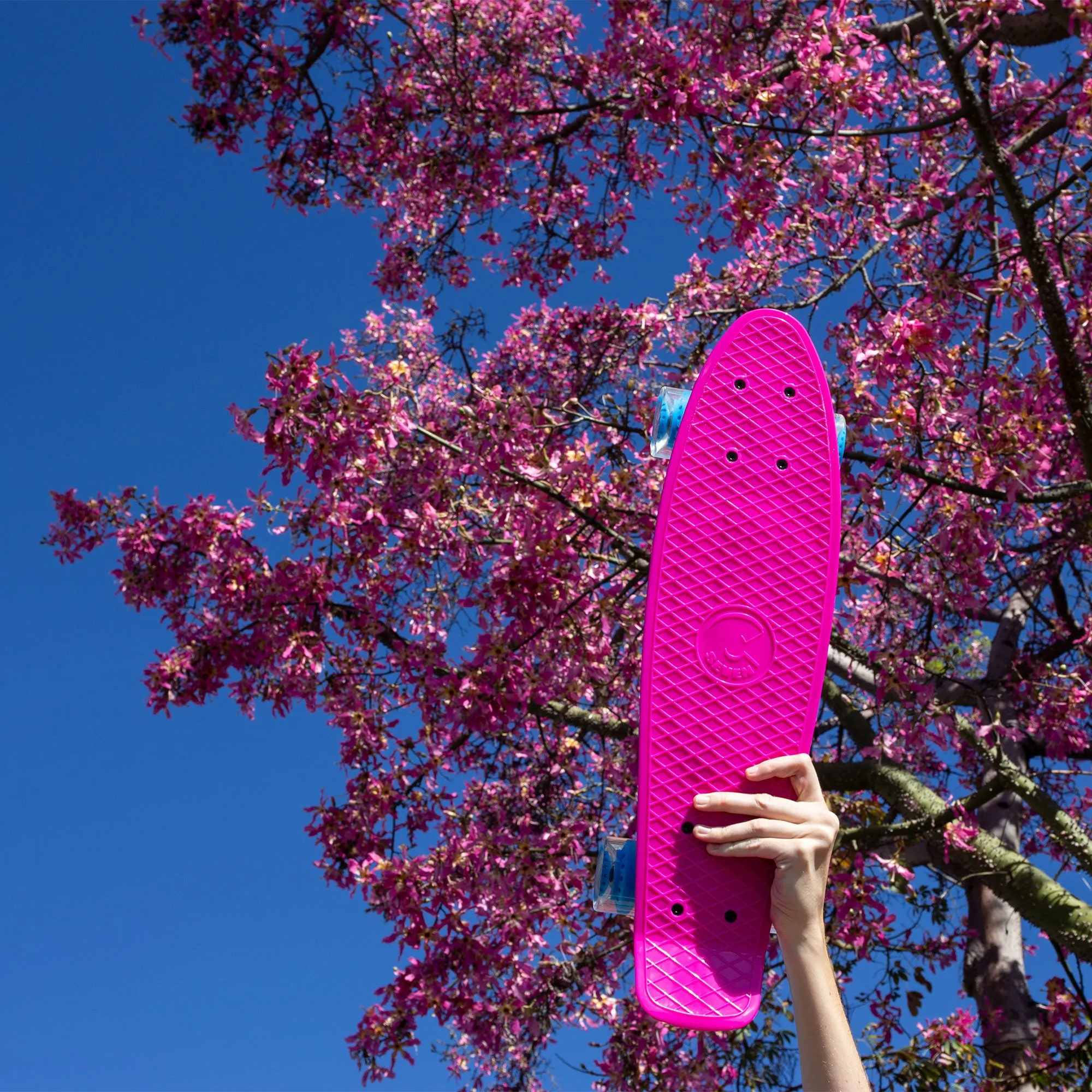 Cal 7 Paradise 22" Mini Cruiser